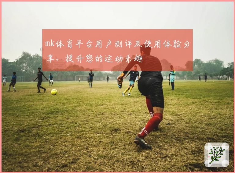 mk体育平台用户测评及使用体验分享，提升您的运动乐趣